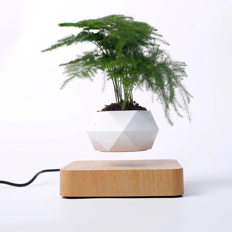 Magnetic Levitating Planter Tan / US Plug | Sage & Sill